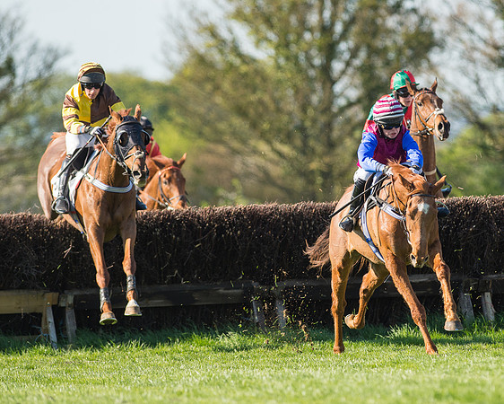 Race 5 - Southern Grand National (53 of 106).jpg