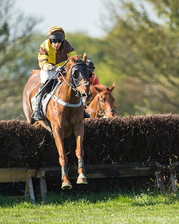 Race 5 - Southern Grand National (53 of 106)-2.jpg