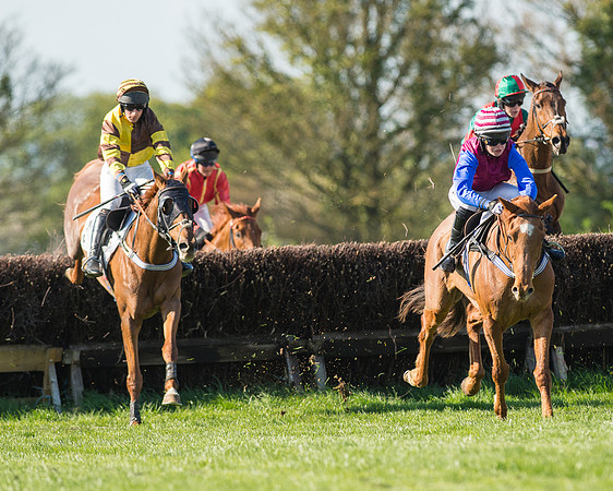 Race 5 - Southern Grand National (54 of 106).jpg