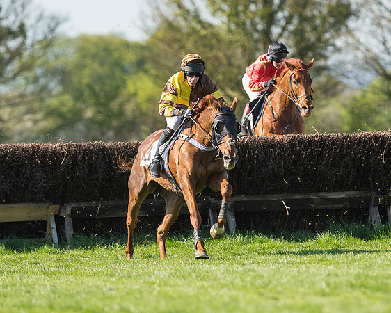Race 5 - Southern Grand National (55 of 106).jpg