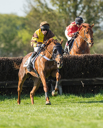 Race 5 - Southern Grand National (55 of 106)-2.jpg