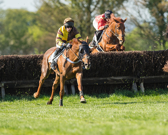 Race 5 - Southern Grand National (56 of 106).jpg