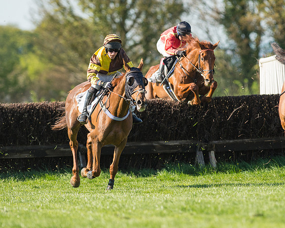 Race 5 - Southern Grand National (57 of 106).jpg
