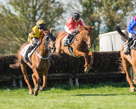 Race 5 - Southern Grand National (58 of 106).jpg