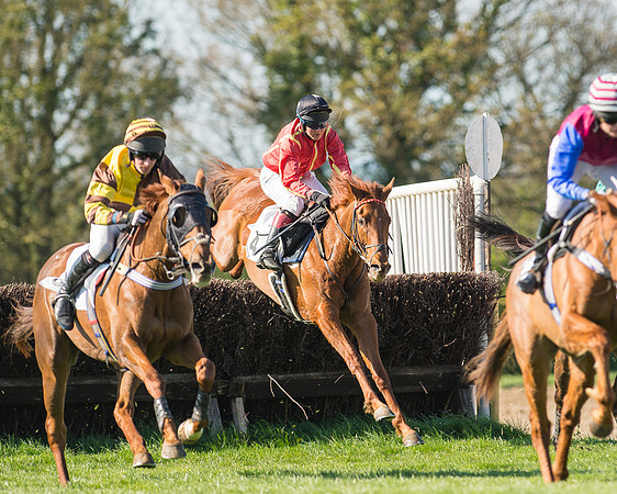 Race 5 - Southern Grand National (59 of 106).jpg
