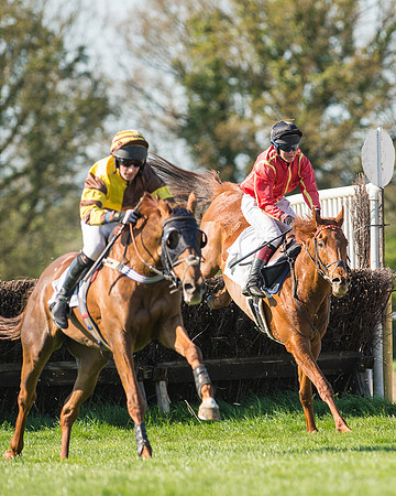 Race 5 - Southern Grand National (60 of 106).jpg