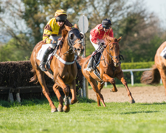Race 5 - Southern Grand National (63 of 106).jpg