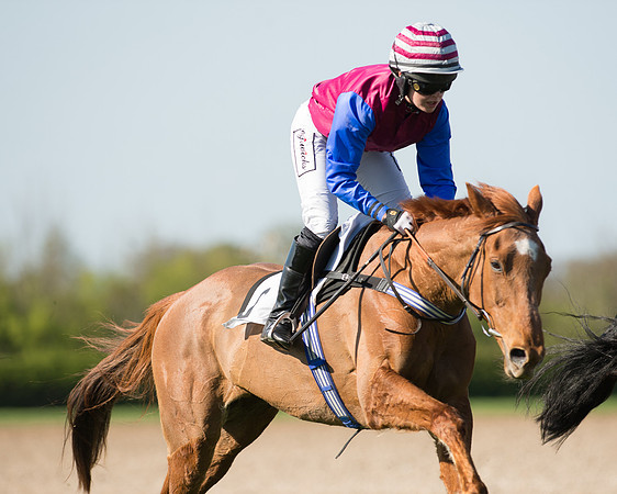 Race 5 - Southern Grand National (64 of 106).jpg