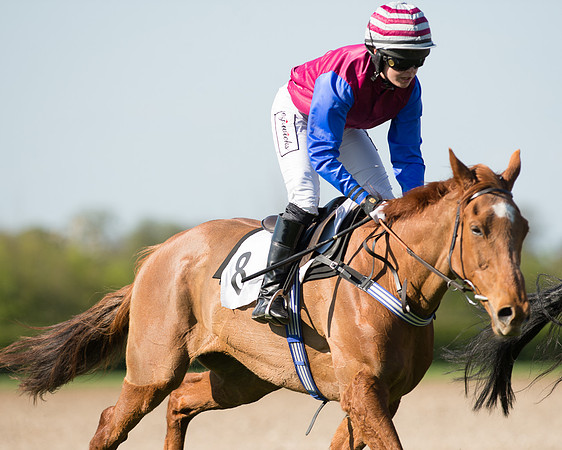 Race 5 - Southern Grand National (65 of 106).jpg