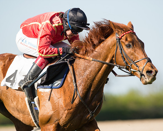 Race 5 - Southern Grand National (66 of 106).jpg
