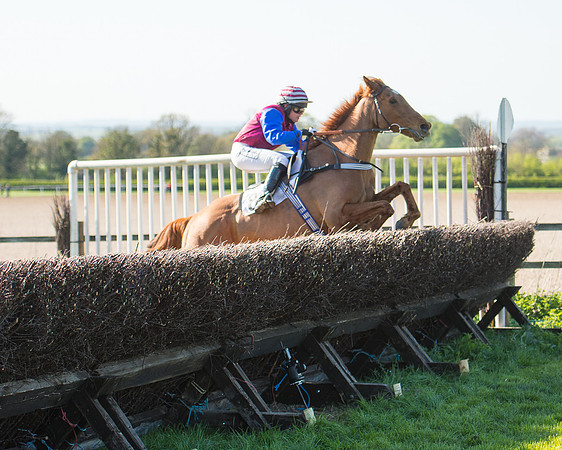 Race 5 - Southern Grand National (67 of 106).jpg