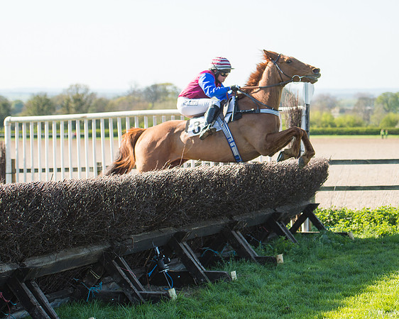 Race 5 - Southern Grand National (68 of 106).jpg