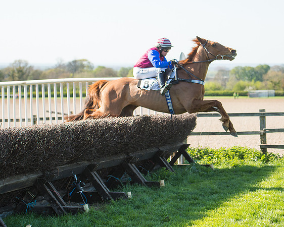 Race 5 - Southern Grand National (69 of 106).jpg