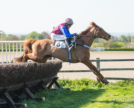 Race 5 - Southern Grand National (70 of 106).jpg