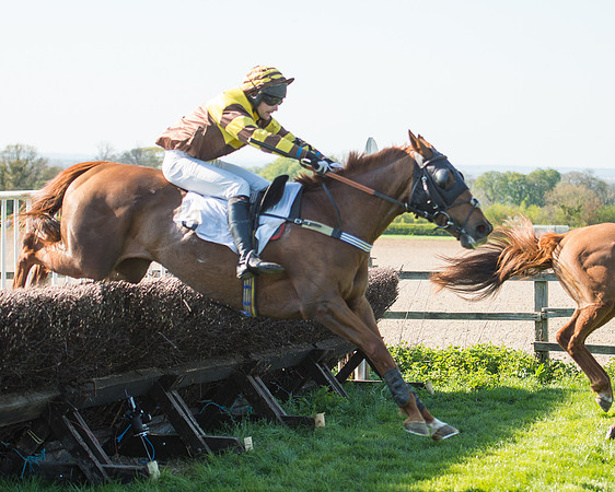 Race 5 - Southern Grand National (71 of 106).jpg