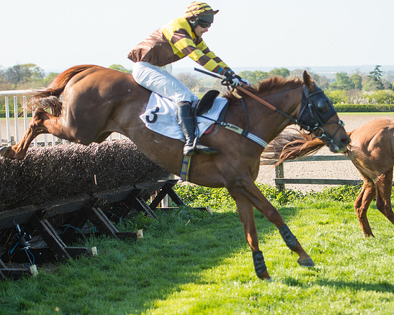 Race 5 - Southern Grand National (72 of 106).jpg