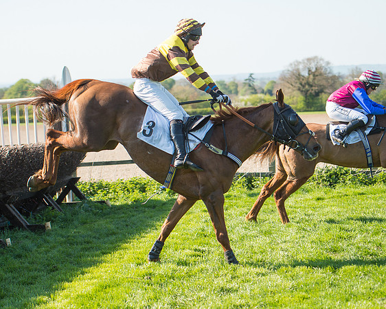 Race 5 - Southern Grand National (73 of 106).jpg