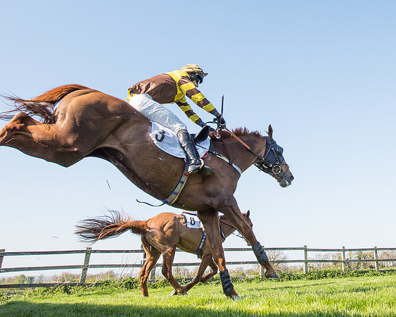 Race 5 - Southern Grand National (74 of 106).jpg