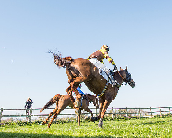 Race 5 - Southern Grand National (75 of 106).jpg