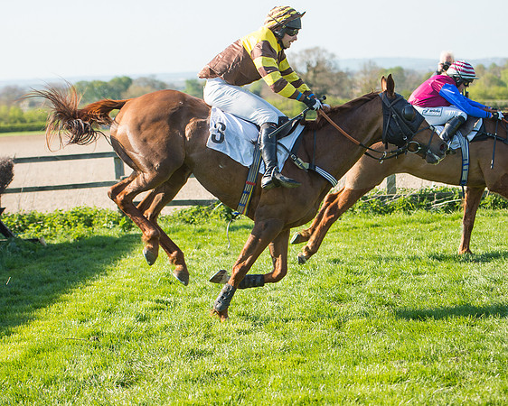 Race 5 - Southern Grand National (76 of 106).jpg