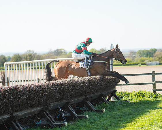 Race 5 - Southern Grand National (77 of 106).jpg