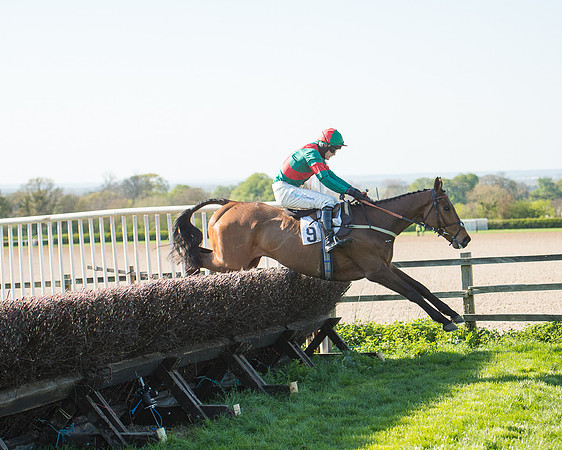 Race 5 - Southern Grand National (78 of 106).jpg