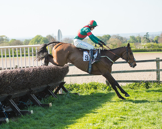 Race 5 - Southern Grand National (79 of 106).jpg