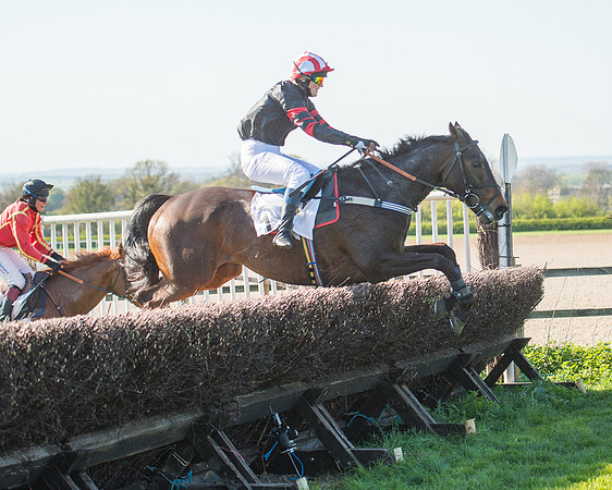 Race 5 - Southern Grand National (80 of 106).jpg