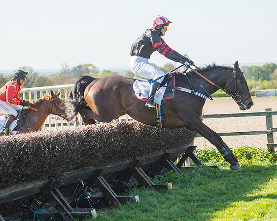 Race 5 - Southern Grand National (81 of 106).jpg