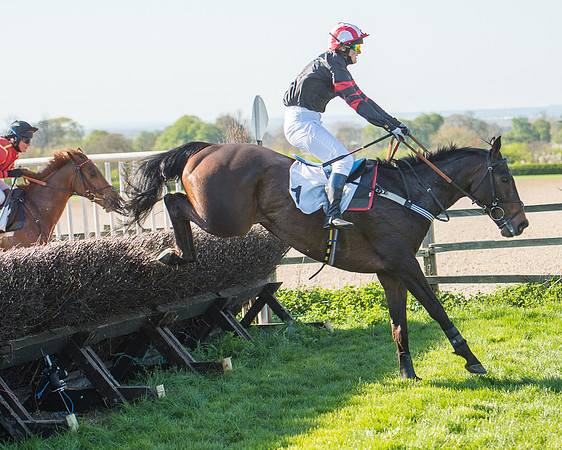 Race 5 - Southern Grand National (82 of 106).jpg