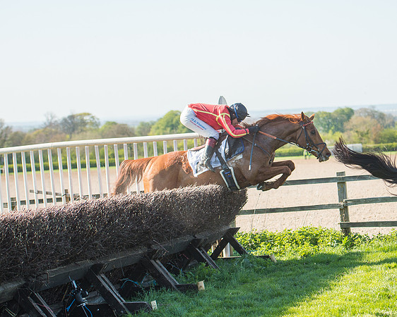 Race 5 - Southern Grand National (83 of 106).jpg