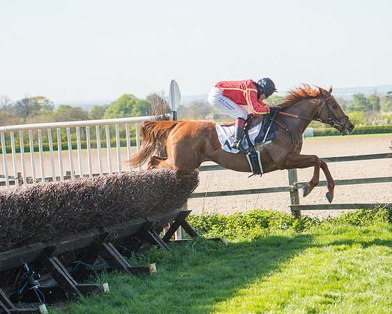 Race 5 - Southern Grand National (84 of 106).jpg