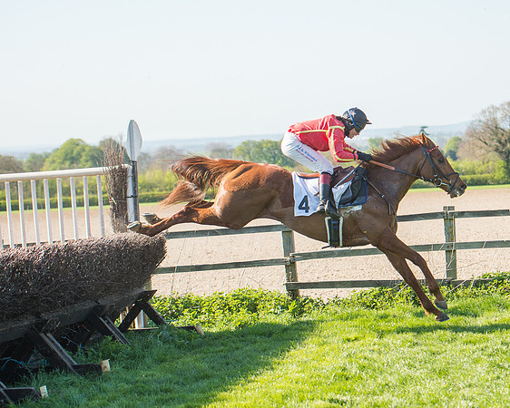 Race 5 - Southern Grand National (85 of 106).jpg