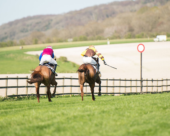 Race 5 - Southern Grand National (86 of 106).jpg
