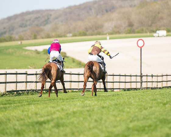 Race 5 - Southern Grand National (87 of 106).jpg