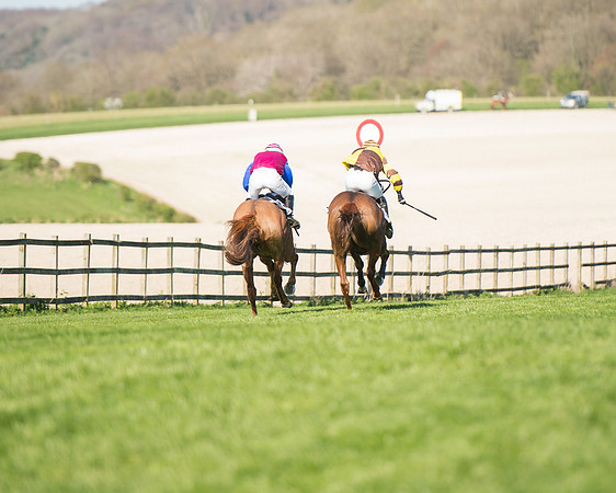 Race 5 - Southern Grand National (88 of 106).jpg