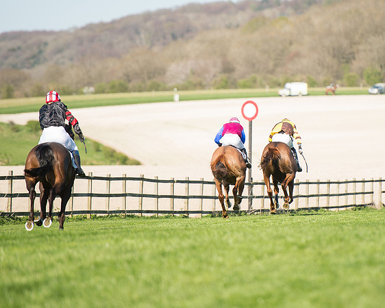 Race 5 - Southern Grand National (90 of 106).jpg