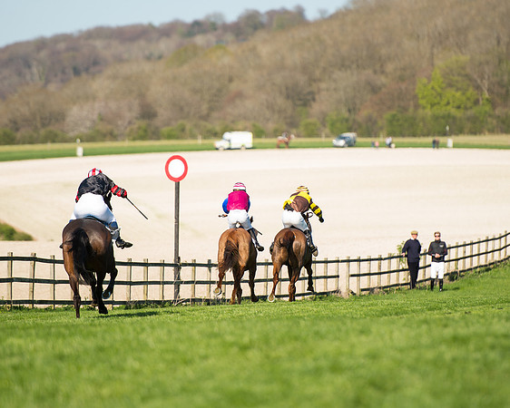 Race 5 - Southern Grand National (91 of 106).jpg
