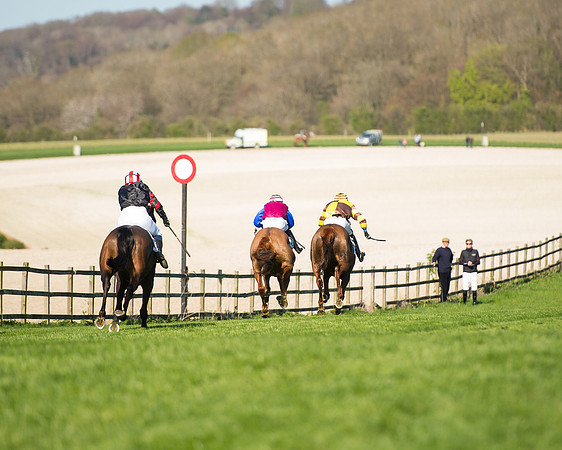 Race 5 - Southern Grand National (92 of 106).jpg