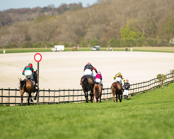 Race 5 - Southern Grand National (93 of 106).jpg