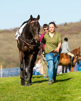 Race 6 - The Open Maiden Race (6 of 120).jpg