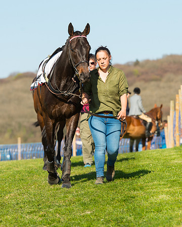Race 6 - The Open Maiden Race (7 of 120).jpg