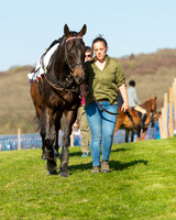 Race 6 - The Open Maiden Race (8 of 120).jpg