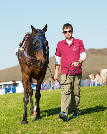 Race 6 - The Open Maiden Race (11 of 120).jpg