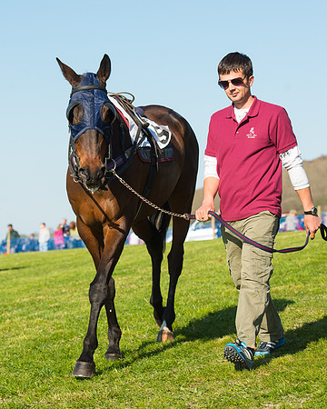 Race 6 - The Open Maiden Race (13 of 120).jpg