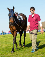 Race 6 - The Open Maiden Race (14 of 120).jpg