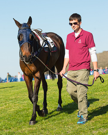 Race 6 - The Open Maiden Race (15 of 120).jpg