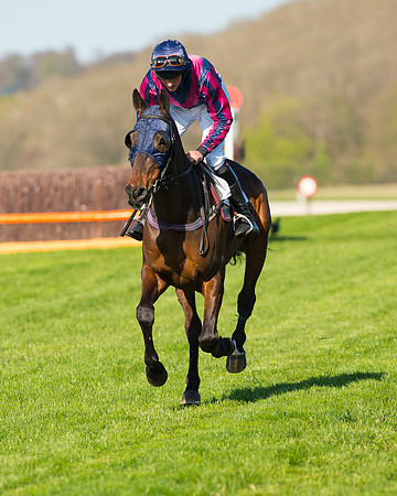 Race 6 - The Open Maiden Race (16 of 120).jpg