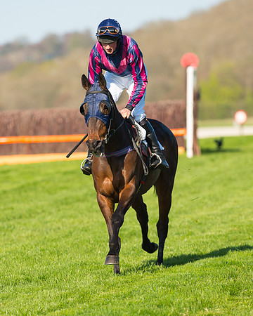 Race 6 - The Open Maiden Race (18 of 120).jpg