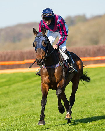 Race 6 - The Open Maiden Race (19 of 120).jpg